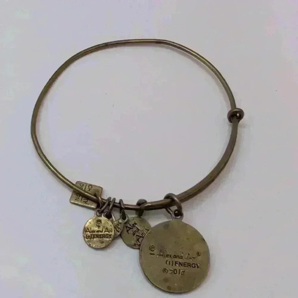 Alex and Ani Let Creativity Rule Goldtone Charm Bracelet adjustable Bangle - Picture 3 of 3